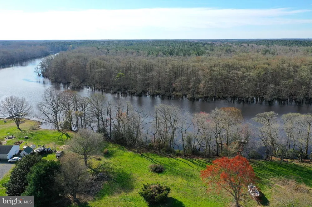PEACH ORCHARD Pocomoke, MD 21851