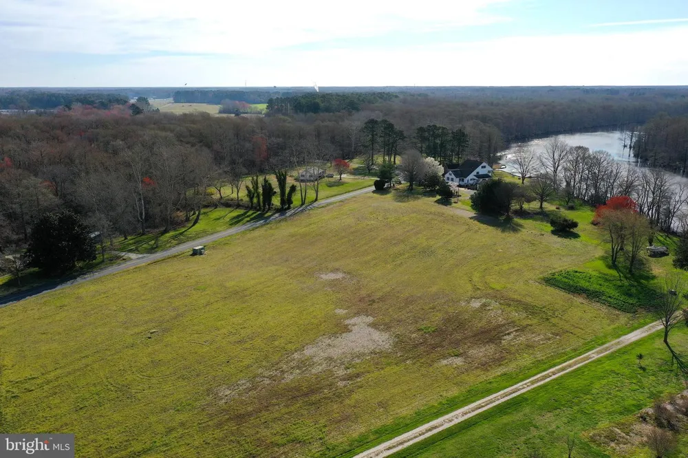 PEACH ORCHARD Pocomoke, MD 21851