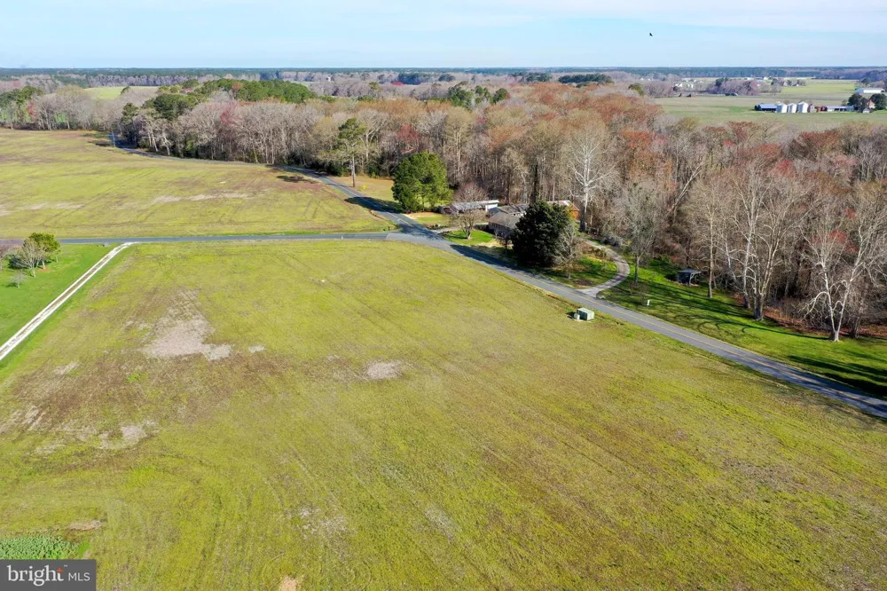 PEACH ORCHARD Pocomoke, MD 21851