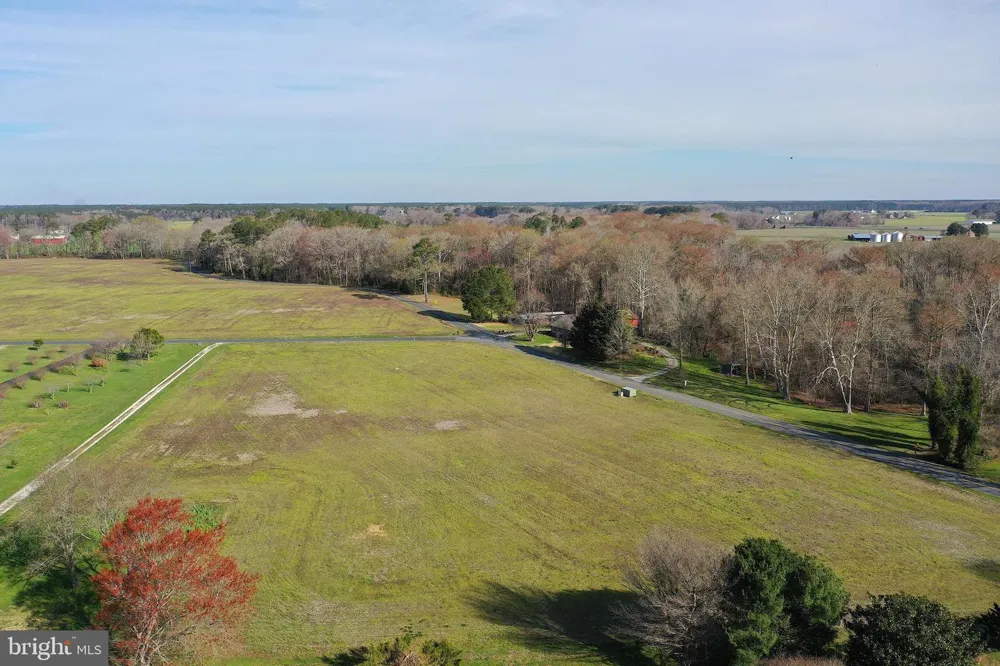 PEACH ORCHARD Pocomoke, MD 21851