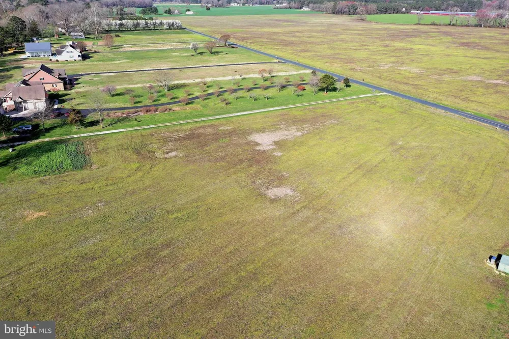 PEACH ORCHARD Pocomoke, MD 21851