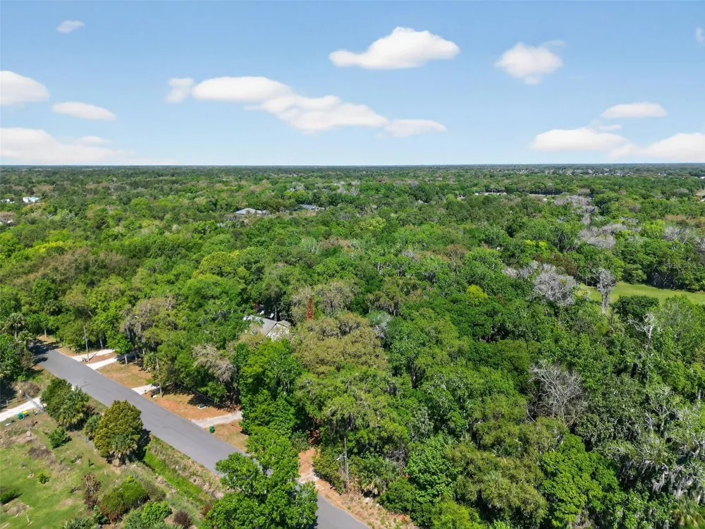 3380 LIONEL ROAD Mims, FL 32754