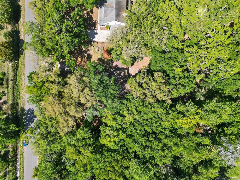 3380 LIONEL ROAD Mims, FL 32754