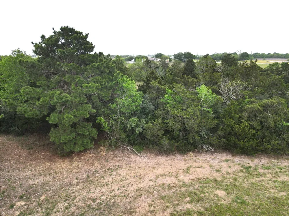 County Road 293 East Bernard, TX 77435