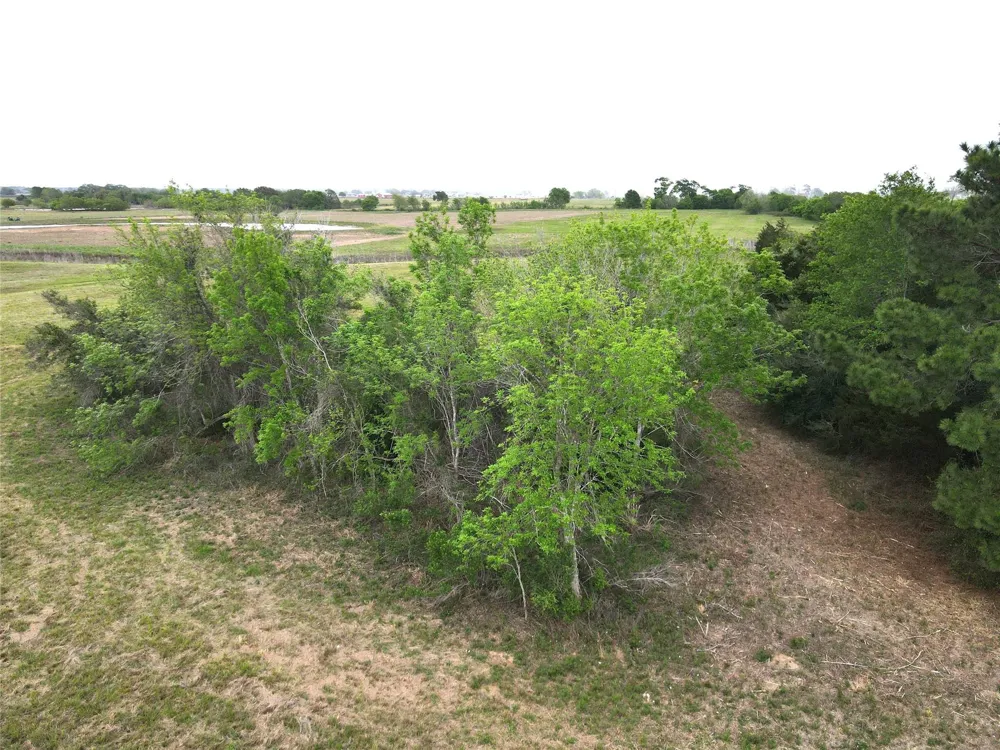 County Road 293 East Bernard, TX 77435