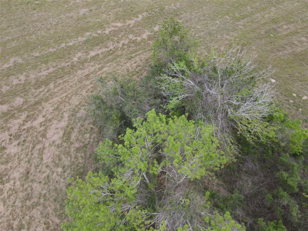 County Road 293 East Bernard, TX 77435
