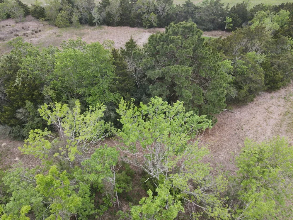 County Road 293 East Bernard, TX 77435
