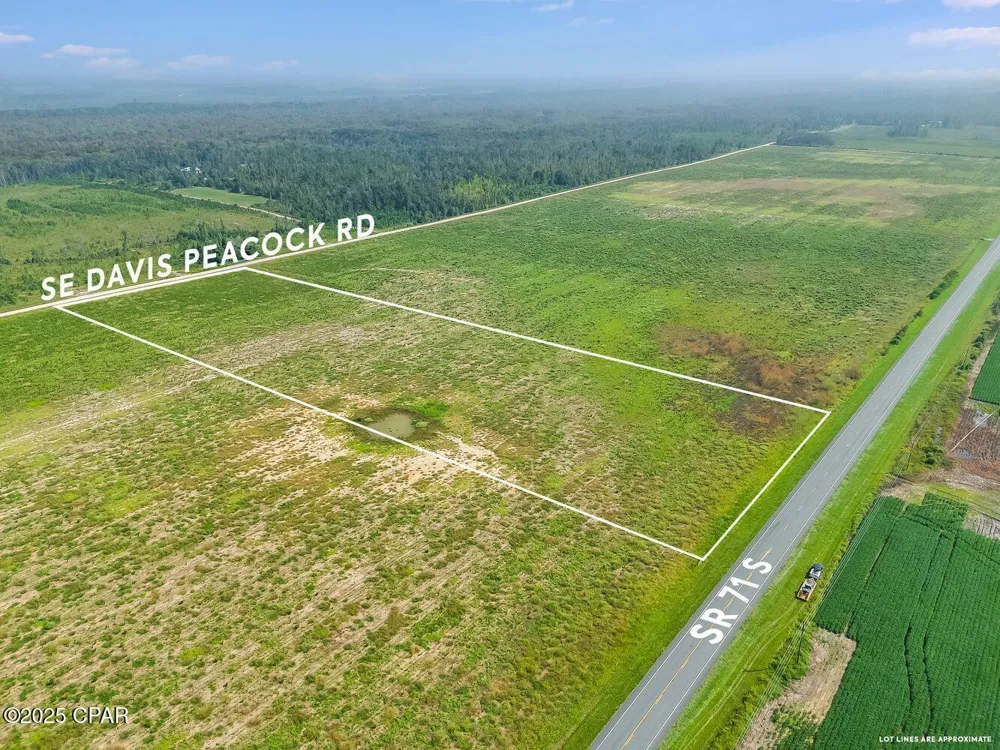 1718 SE Davis Peacock Road Kinard, FL 32449
