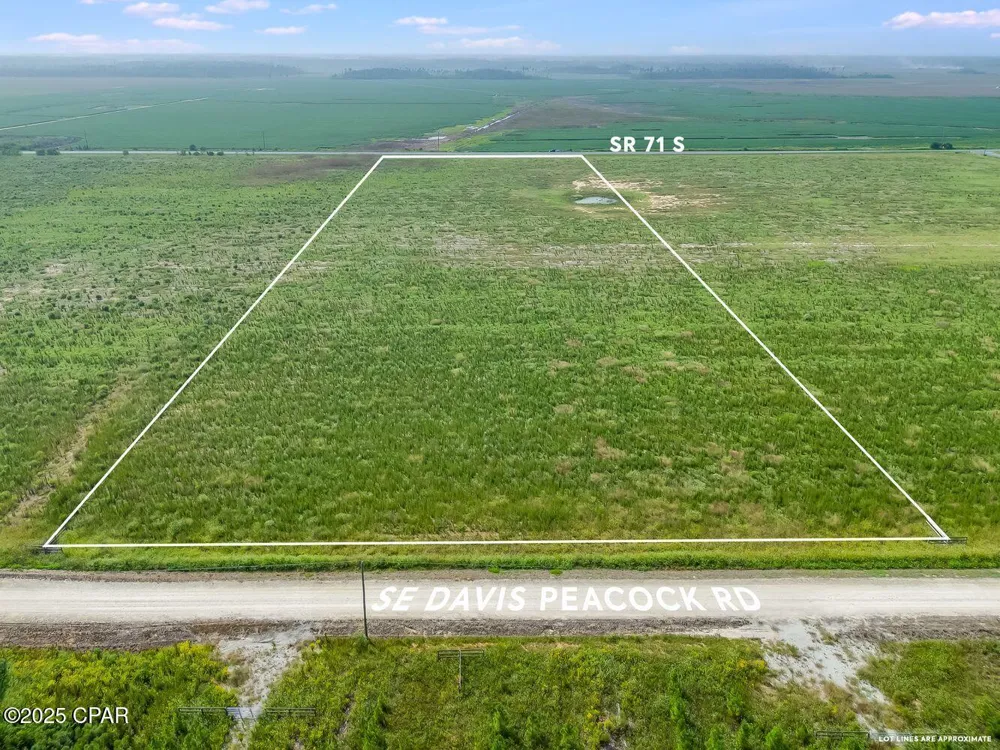 1718 SE Davis Peacock Road Kinard, FL 32449