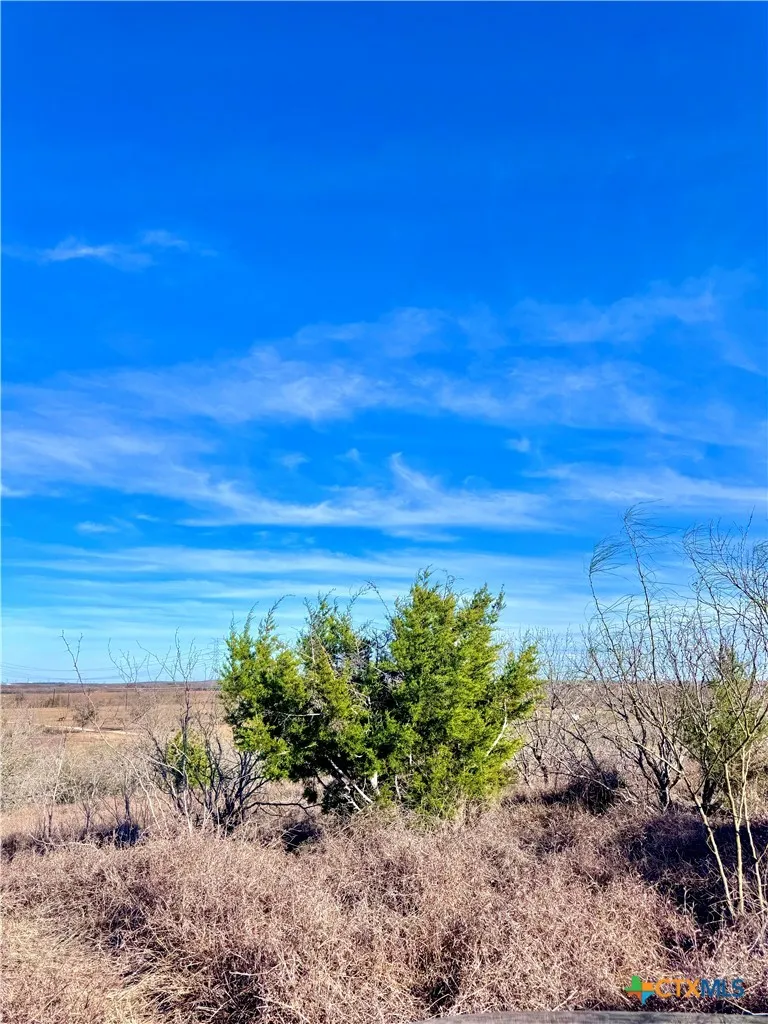Scull Rd Martindale, TX 78655