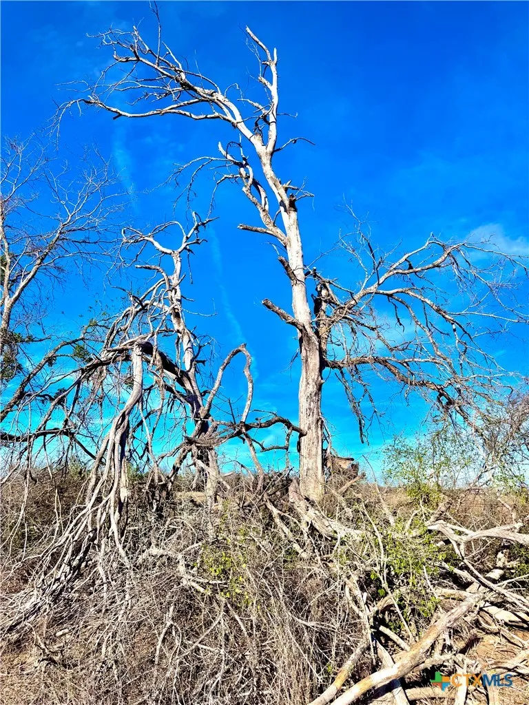 Scull Rd Martindale, TX 78655