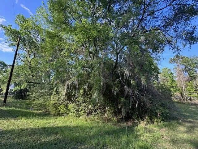 10 Coral Gables Trinity, TX 75862