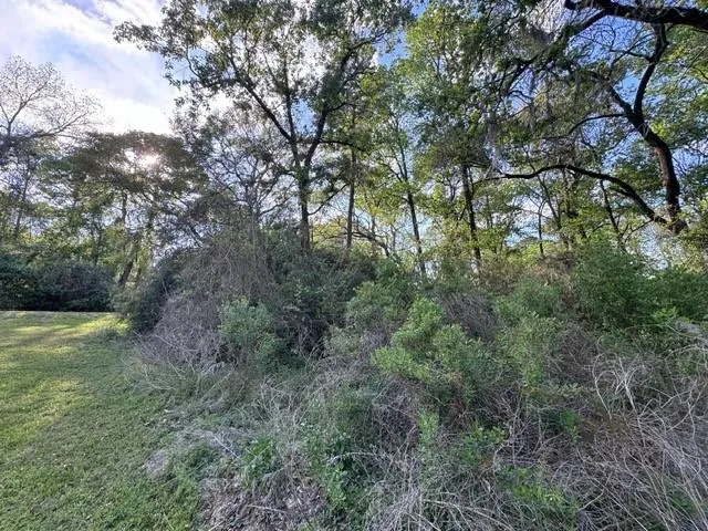 10 Coral Gables Trinity, TX 75862