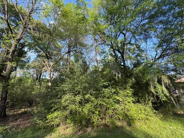10 Coral Gables Trinity, TX 75862