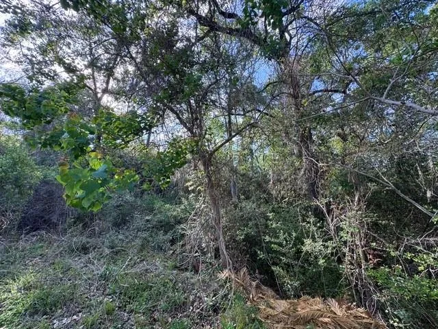 10 Coral Gables Trinity, TX 75862