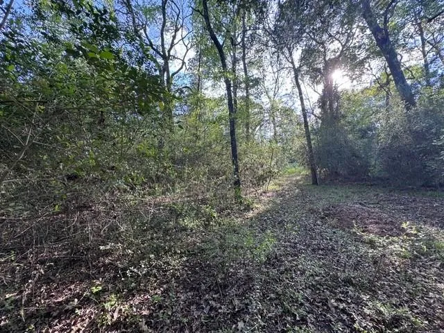 10 Coral Gables Trinity, TX 75862