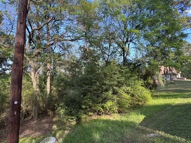 10 Coral Gables Trinity, TX 75862