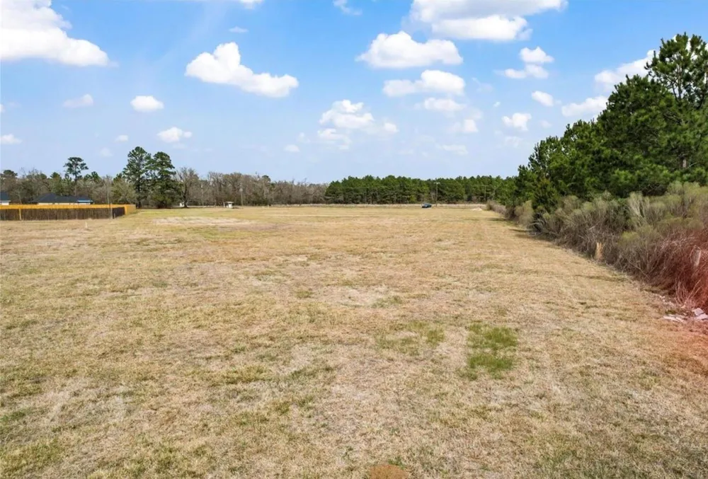 138 Fm 3126 Livingston, TX 77351
