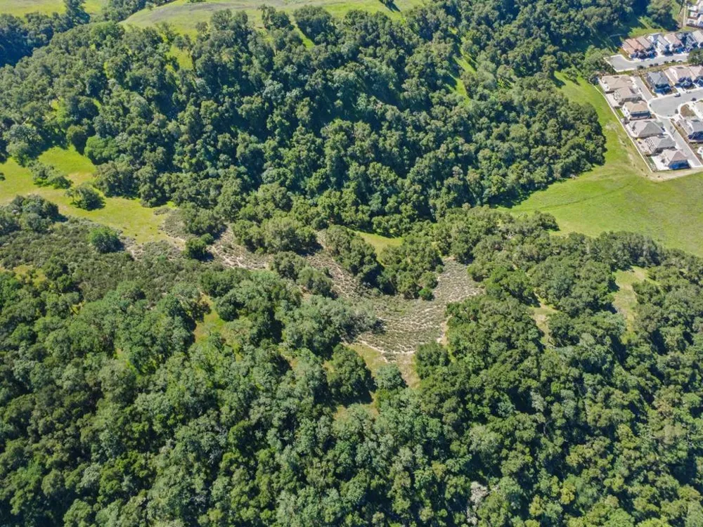 Hollyhock Lane Gilroy, CA 95020