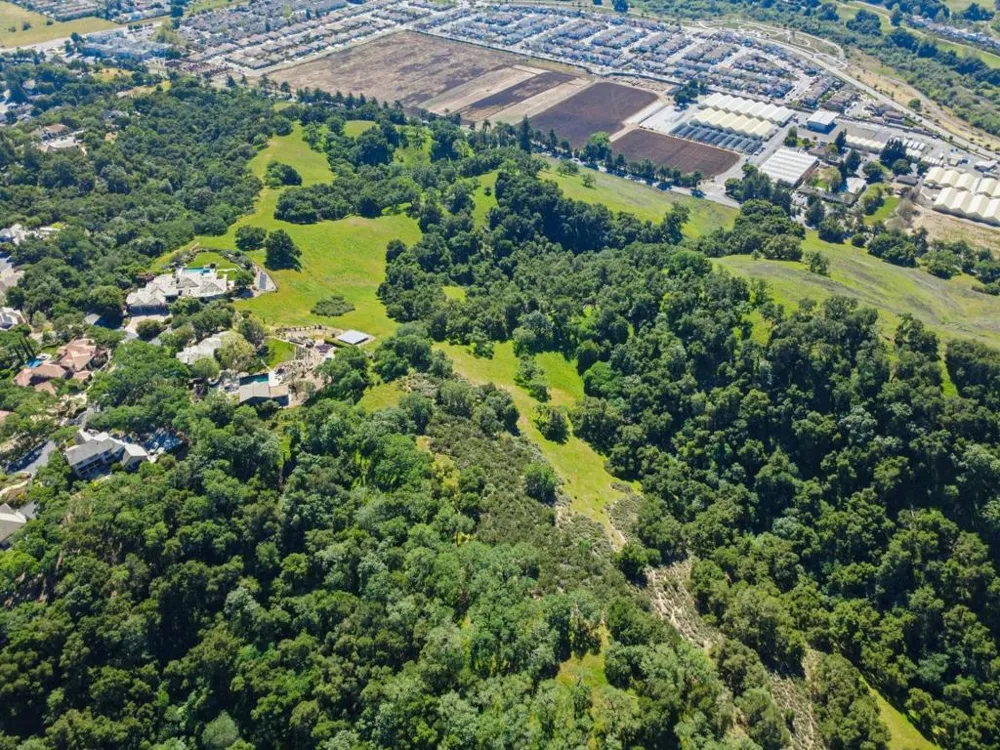 Hollyhock Lane Gilroy, CA 95020