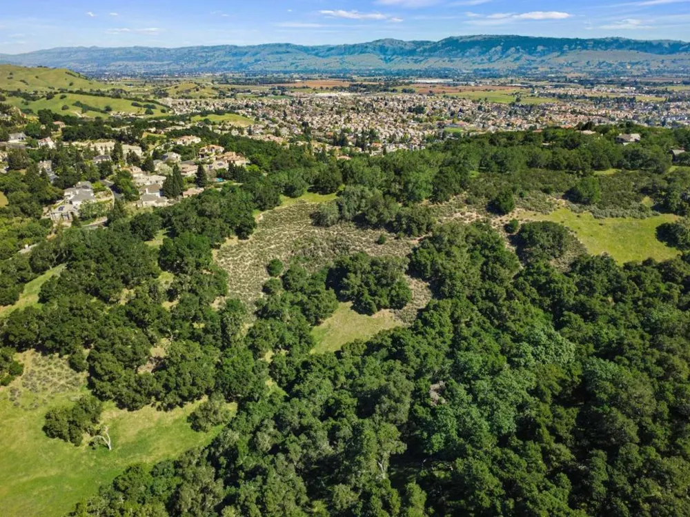 Hollyhock Lane Gilroy, CA 95020
