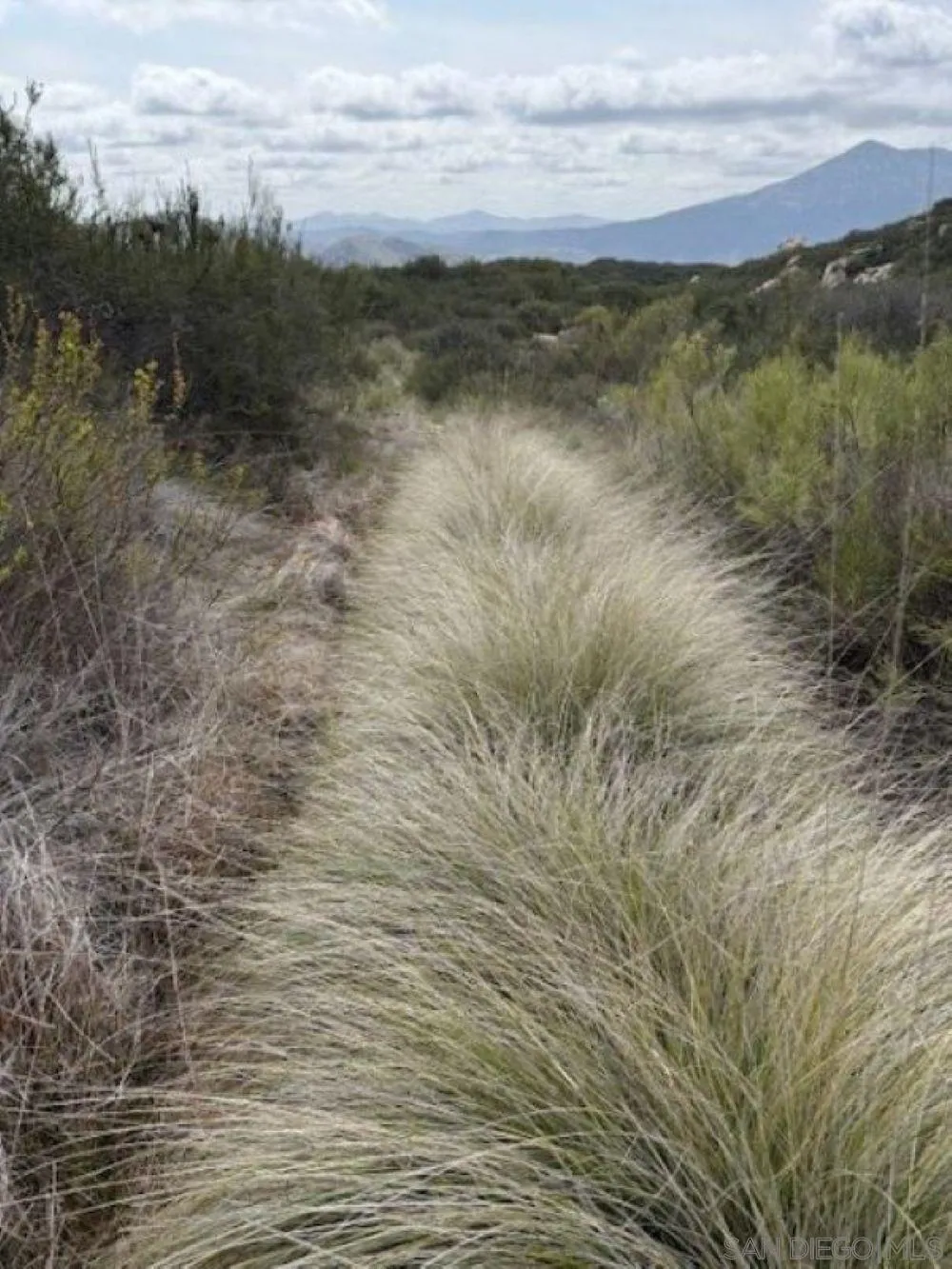 Barrett Lake Rd Jamul, CA 91935