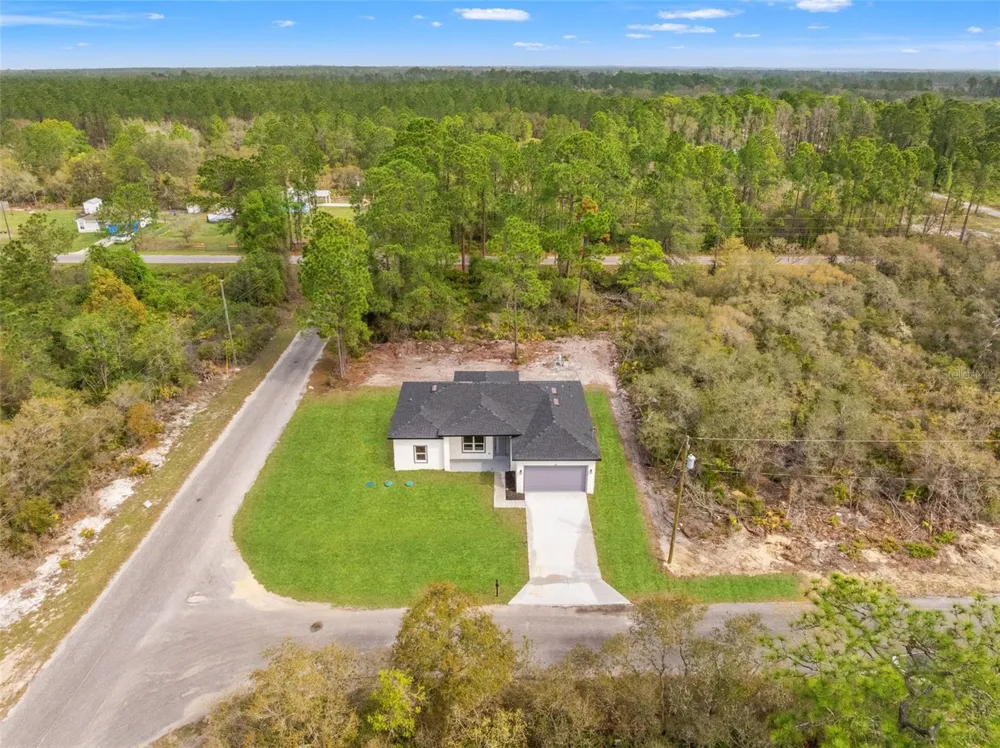 33 FISHER PLACE Ocklawaha, FL 32179