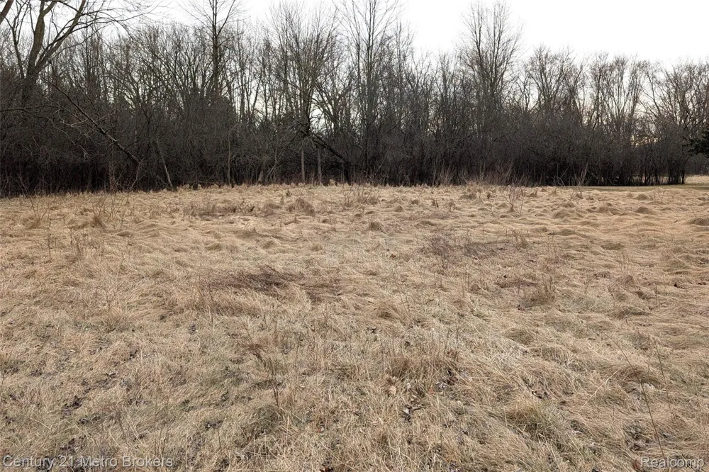 2840 Tatham Road Bridgeport Charter Township, MI 48601