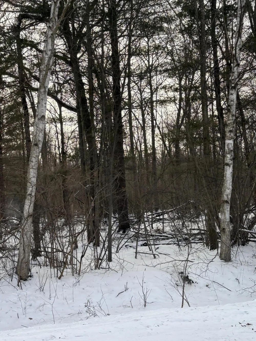 W Prairie Road Midland, MI 48640