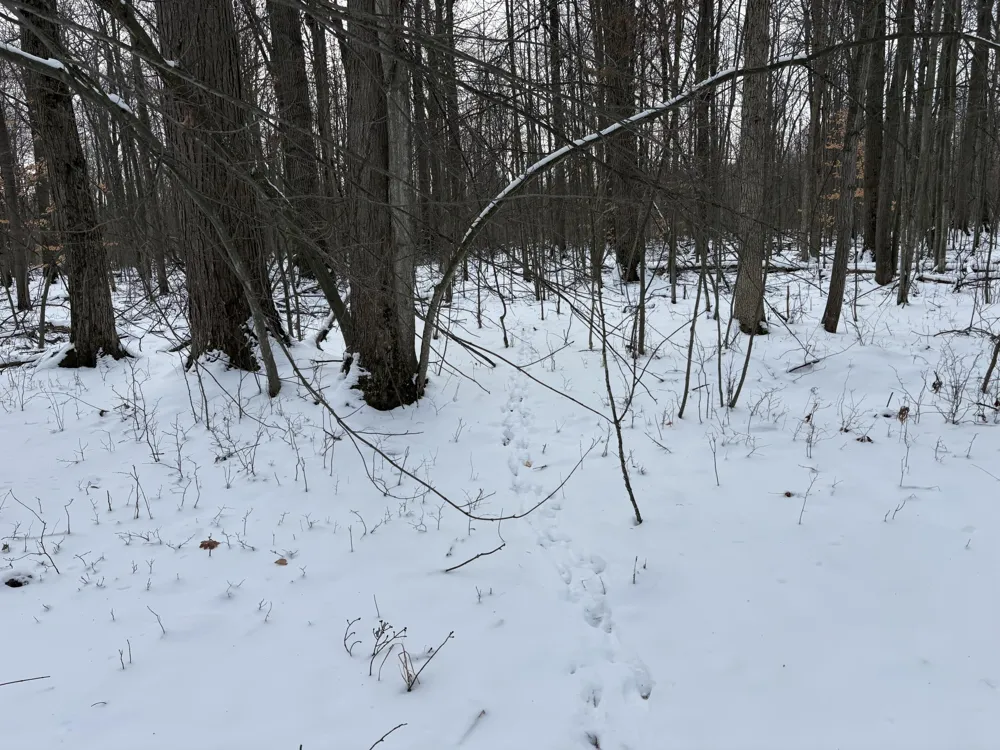 W Prairie Road Midland, MI 48640