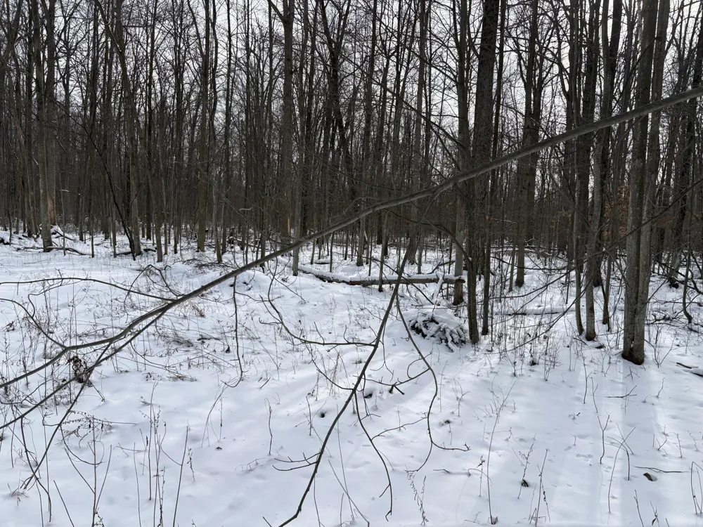 W Prairie Road Midland, MI 48640