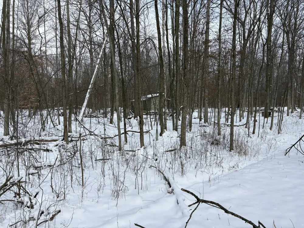 W Prairie Road Midland, MI 48640
