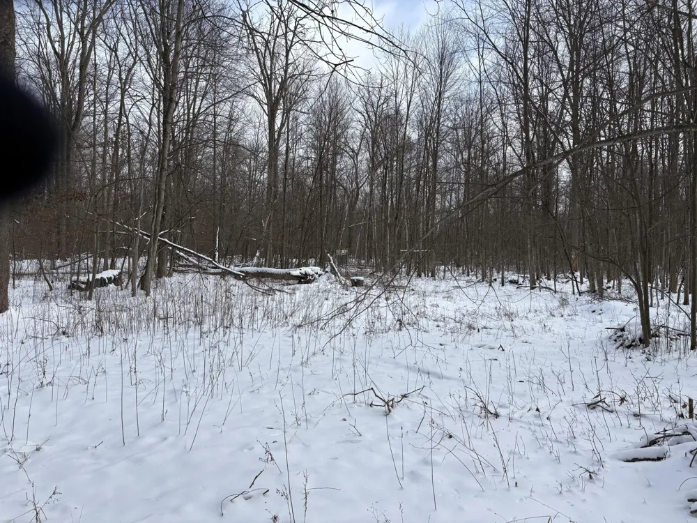 W Prairie Road Midland, MI 48640