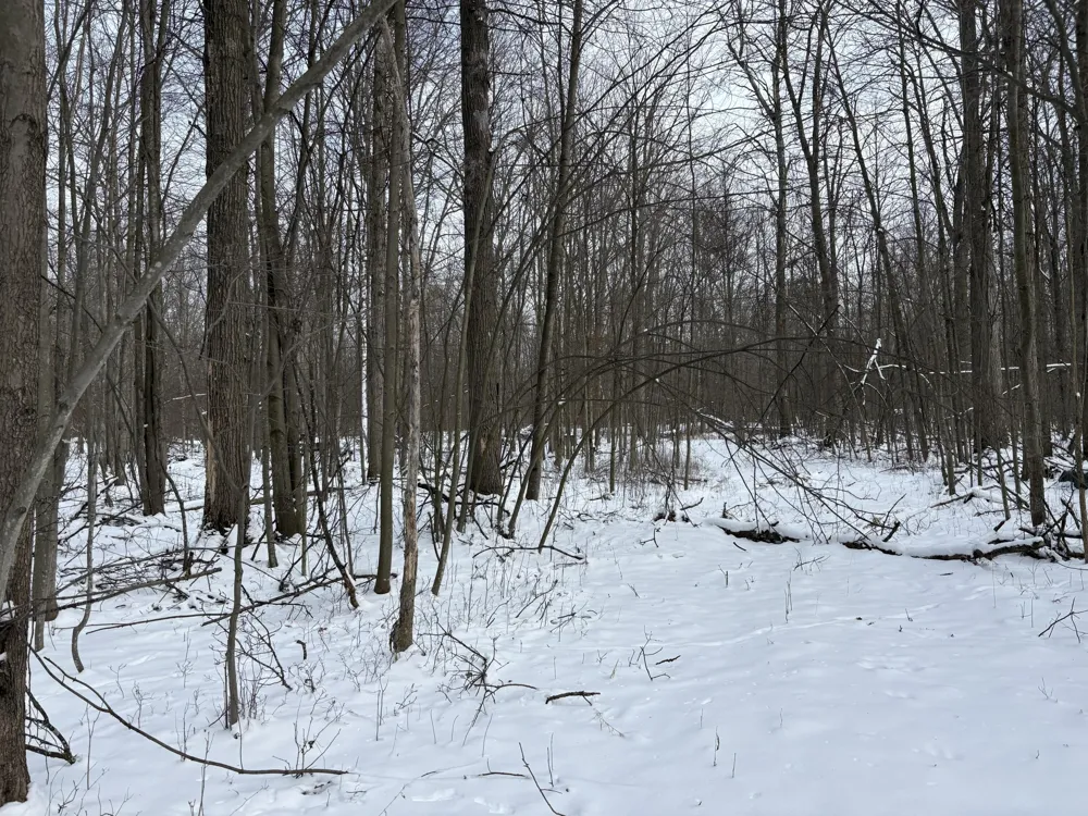 W Prairie Road Midland, MI 48640