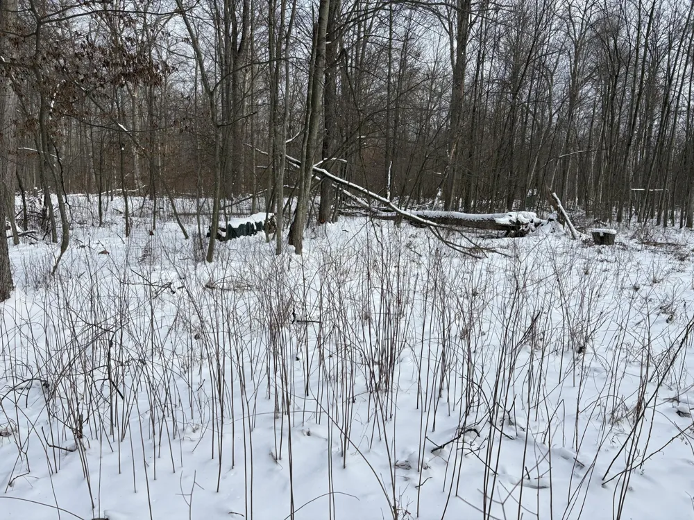 W Prairie Road Midland, MI 48640