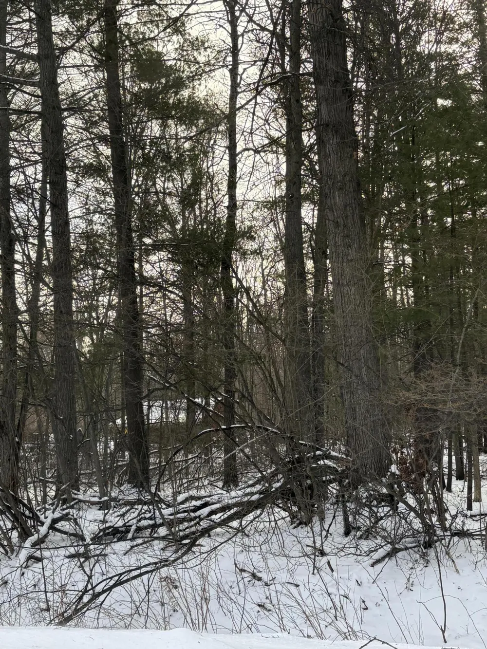 W Prairie Road Midland, MI 48640
