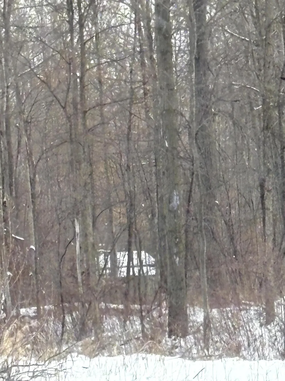 W Prairie Road Midland, MI 48640