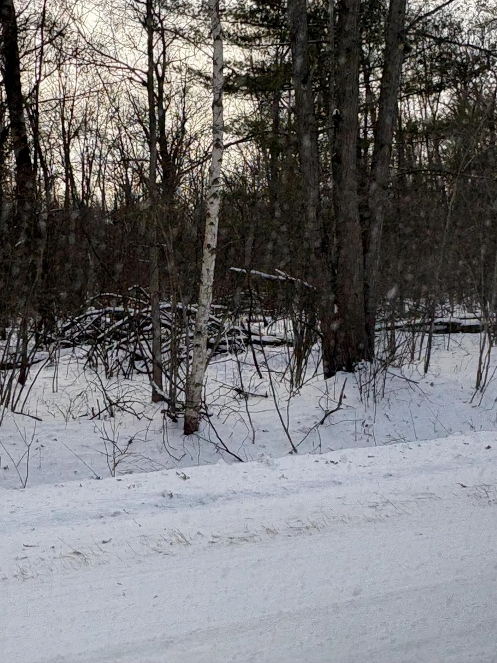 W Prairie Road Midland, MI 48640
