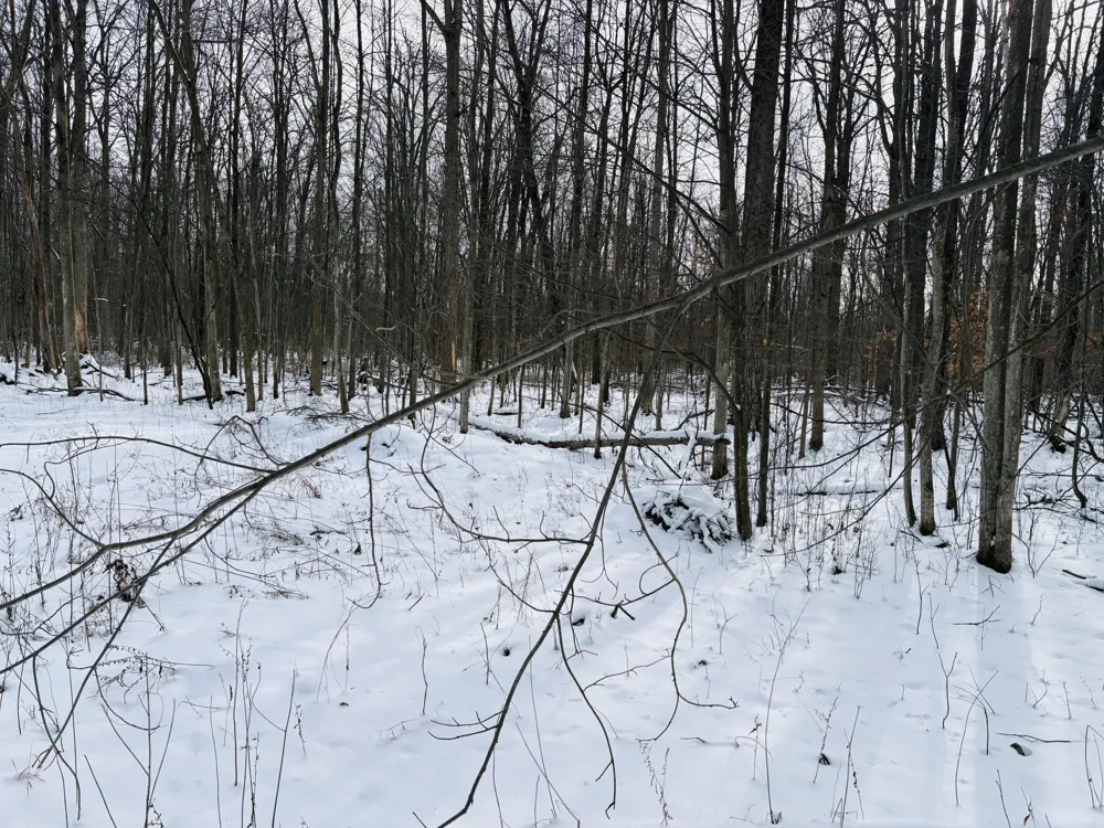 W Prairie Road Midland, MI 48640