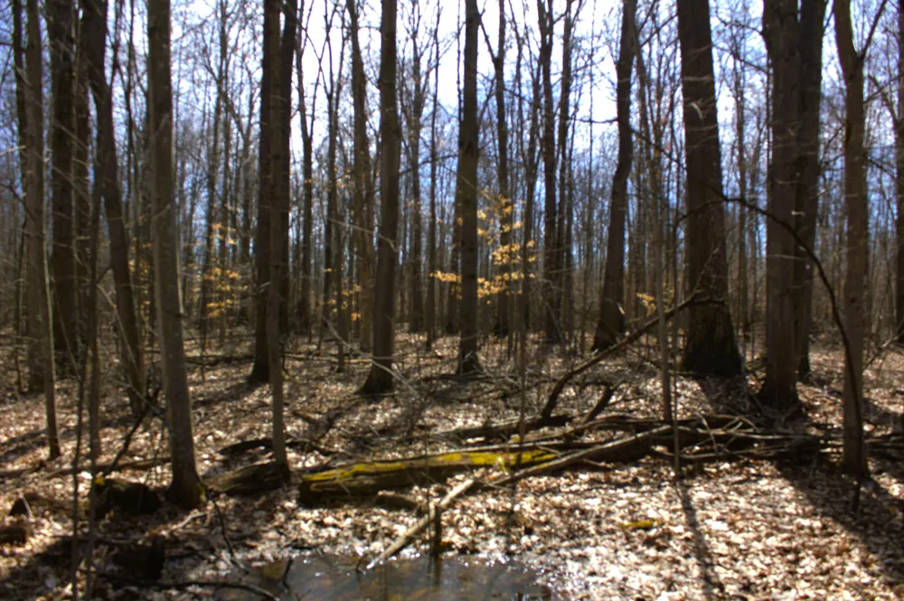 W Prairie Road Midland, MI 48640