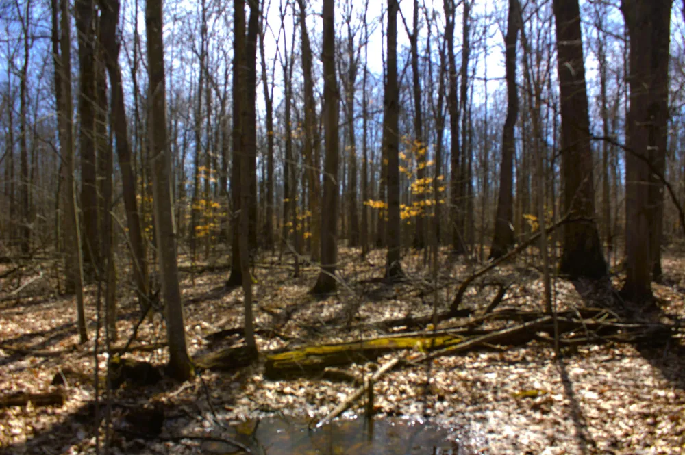 W Prairie Road Midland, MI 48640