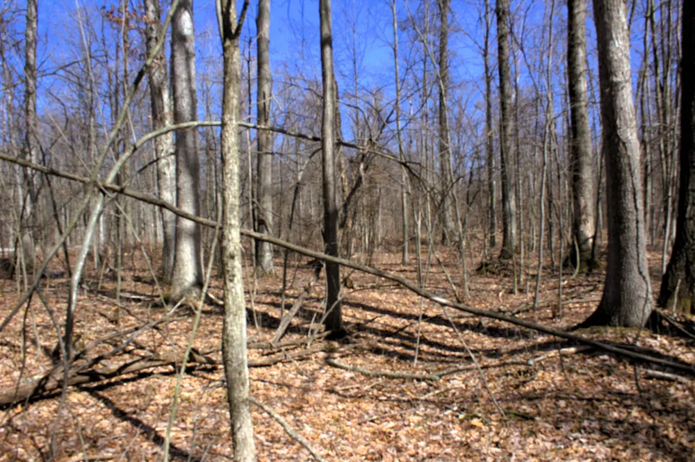 W Prairie Road Midland, MI 48640