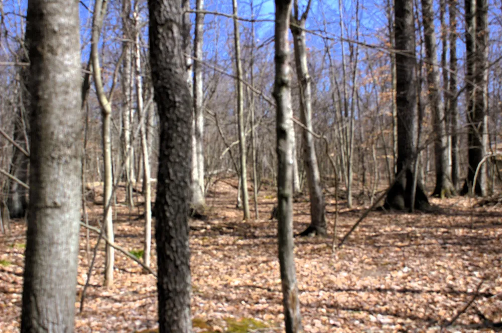 W Prairie Road Midland, MI 48640