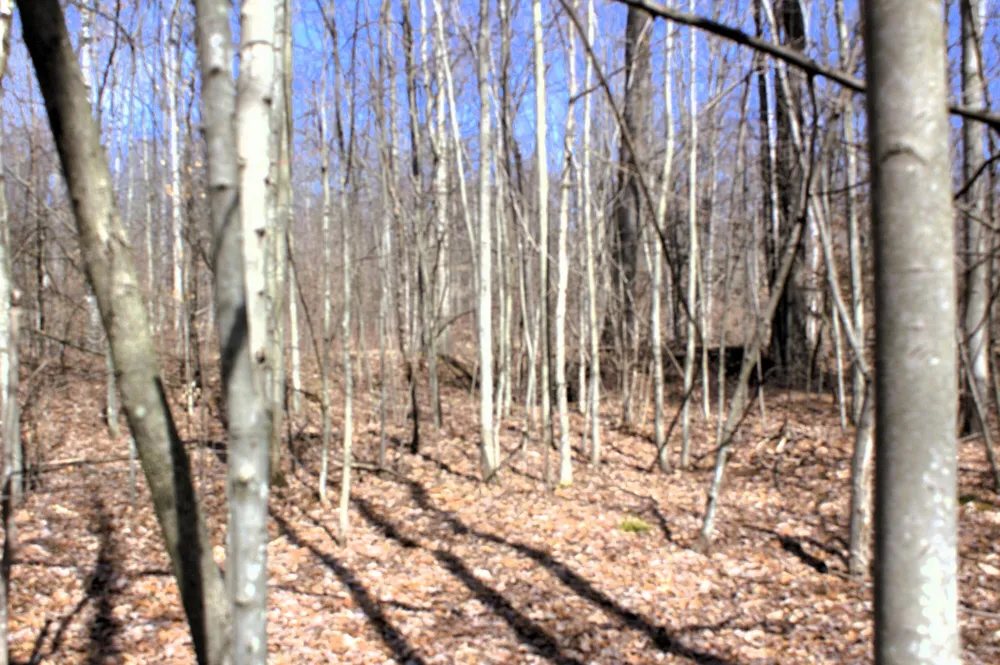 W Prairie Road Midland, MI 48640