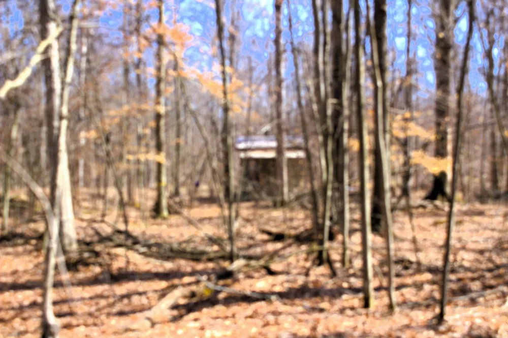 W Prairie Road Midland, MI 48640