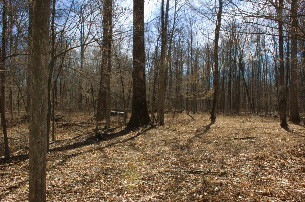 W Prairie Road Midland, MI 48640