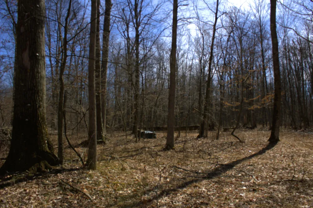 W Prairie Road Midland, MI 48640