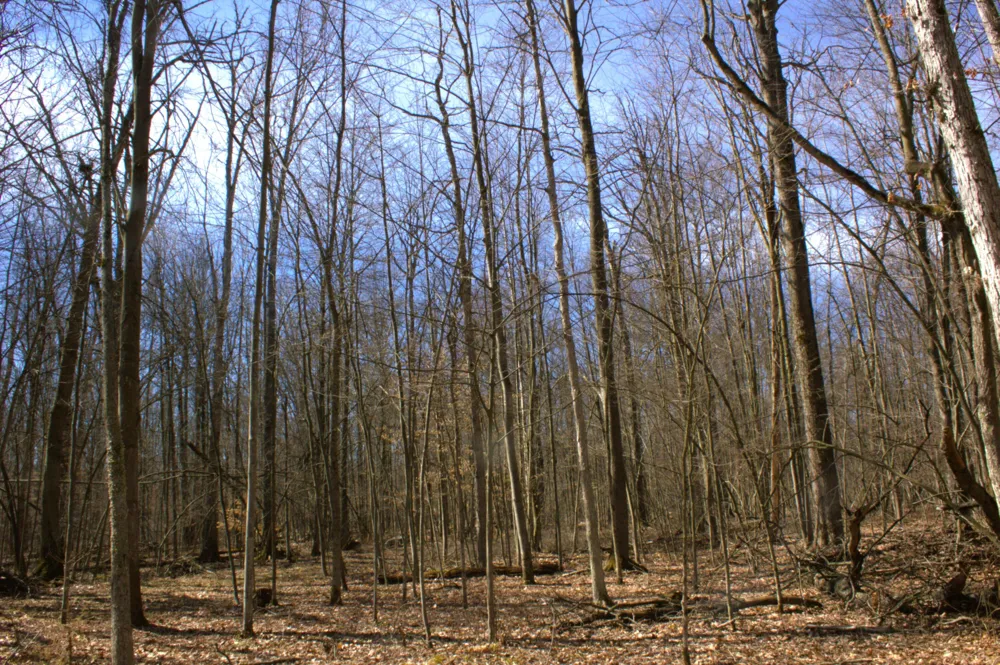 W Prairie Road Midland, MI 48640