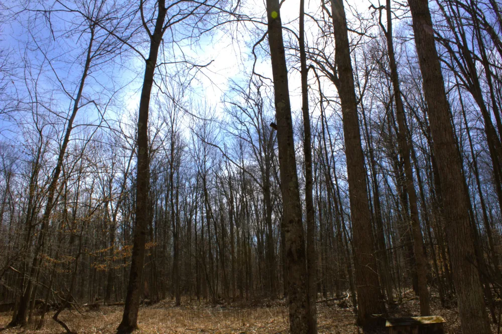 W Prairie Road Midland, MI 48640