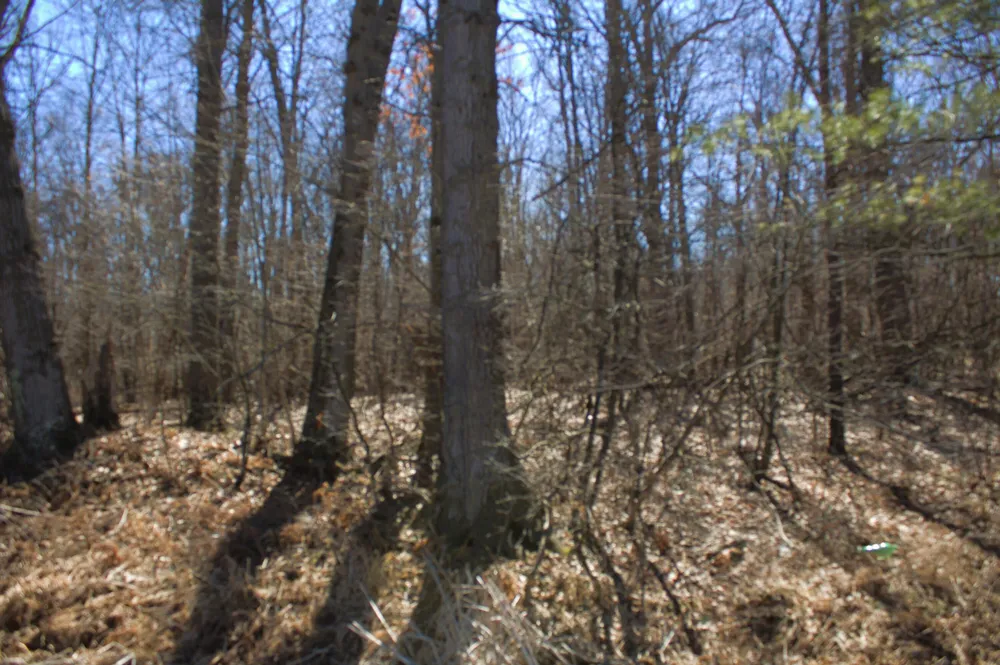 W Prairie Road Midland, MI 48640